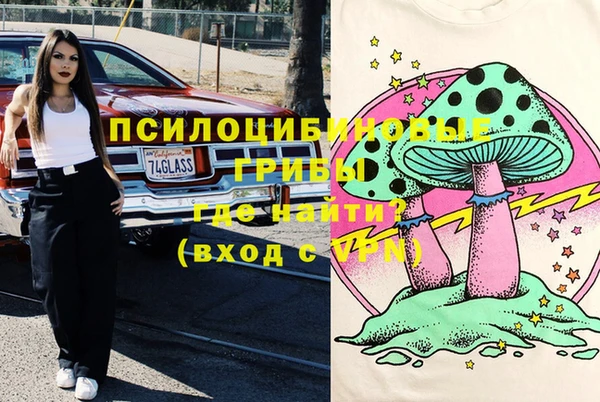индика Алзамай