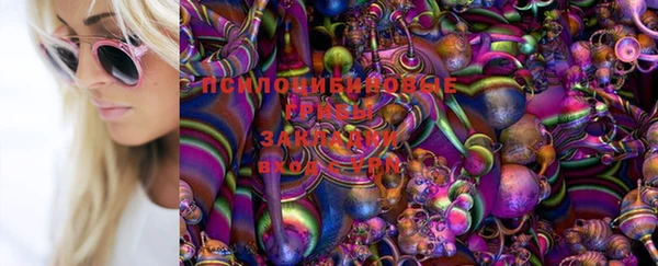 ешки Алексин