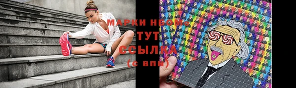ешки Алексин