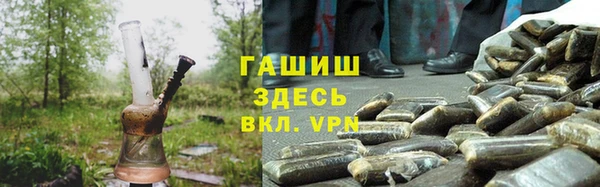 индика Алзамай