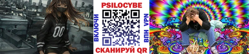 Псилоцибиновые грибы Psilocybe  Калтан 